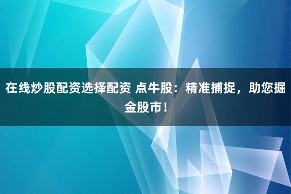 在线炒股配资选择配资 点牛股：精准捕捉，助您掘金股市！