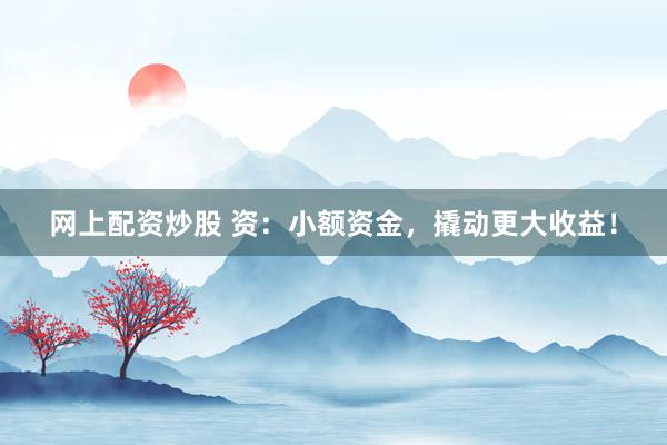 网上配资炒股 资：小额资金，撬动更大收益！
