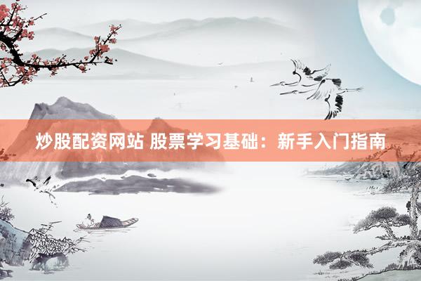 炒股配资网站 股票学习基础：新手入门指南