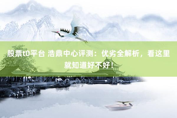 股票t0平台 浩鼎中心评测：优劣全解析，看这里就知道好不好！