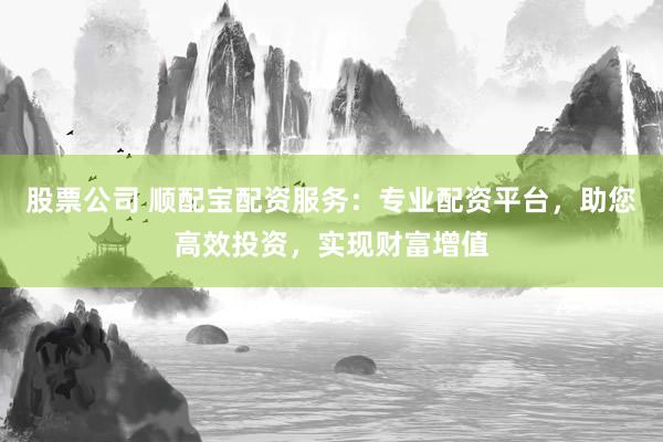 股票公司 顺配宝配资服务:专业配资平台,助您高效投资,实现财富增值