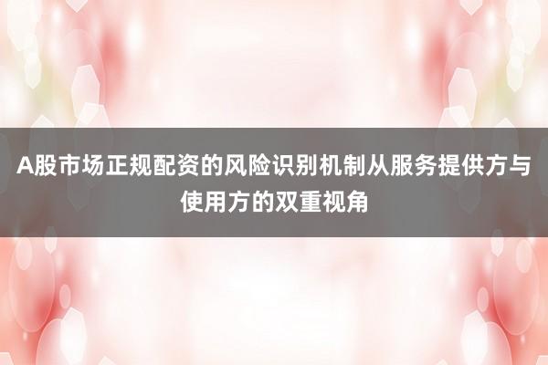A股市场正规配资的风险识别机制从服务提供方与使用方的双重视角