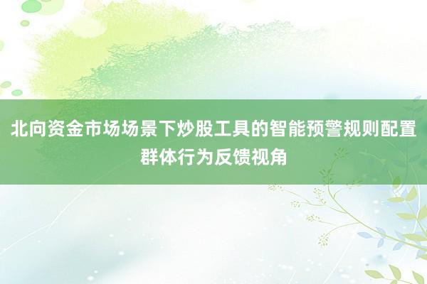 北向资金市场场景下炒股工具的智能预警规则配置群体行为反馈视角