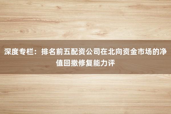 深度专栏:排名前五配资公司在北向资金市场的净值回撤修复能力评