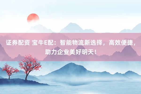 证券配资 宝牛E配:智能物流新选择,高效便捷,助力企业美好明天!